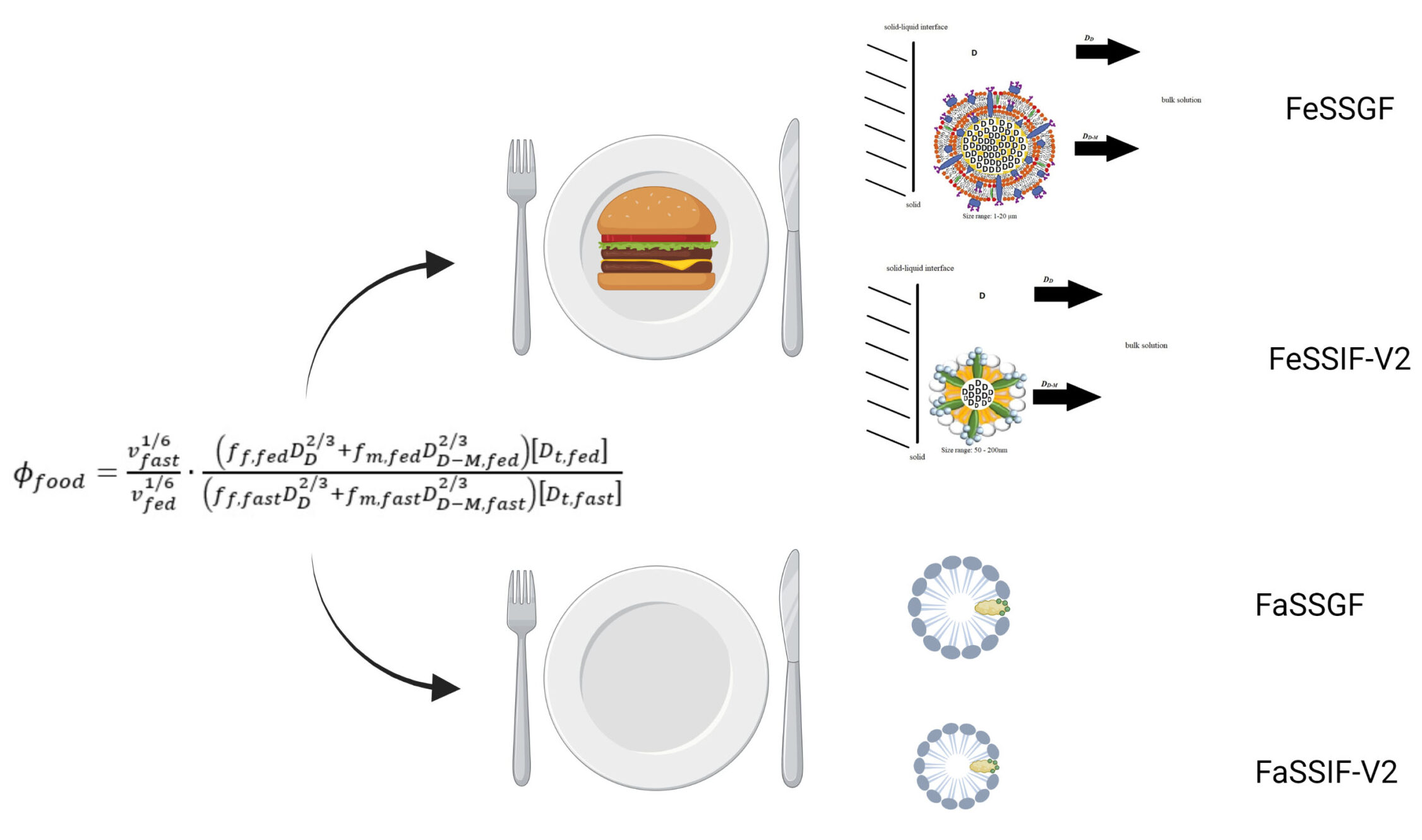 Fed vs fast food effect