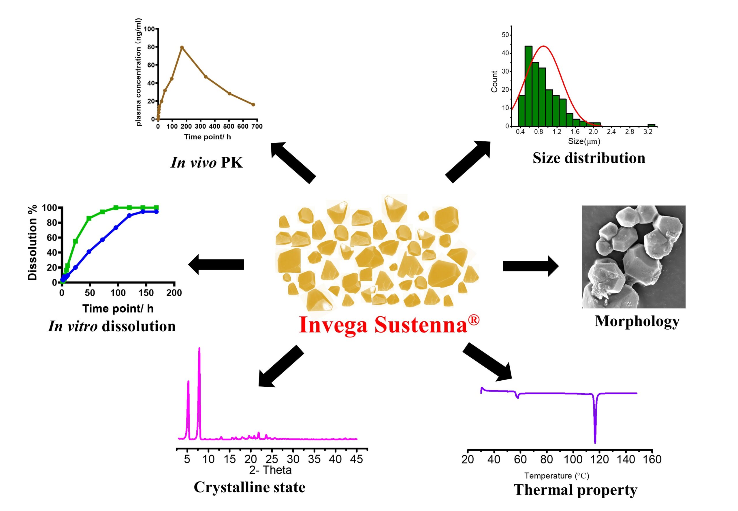 Reverse engineering of Invega Sustenna Graphical Abstract